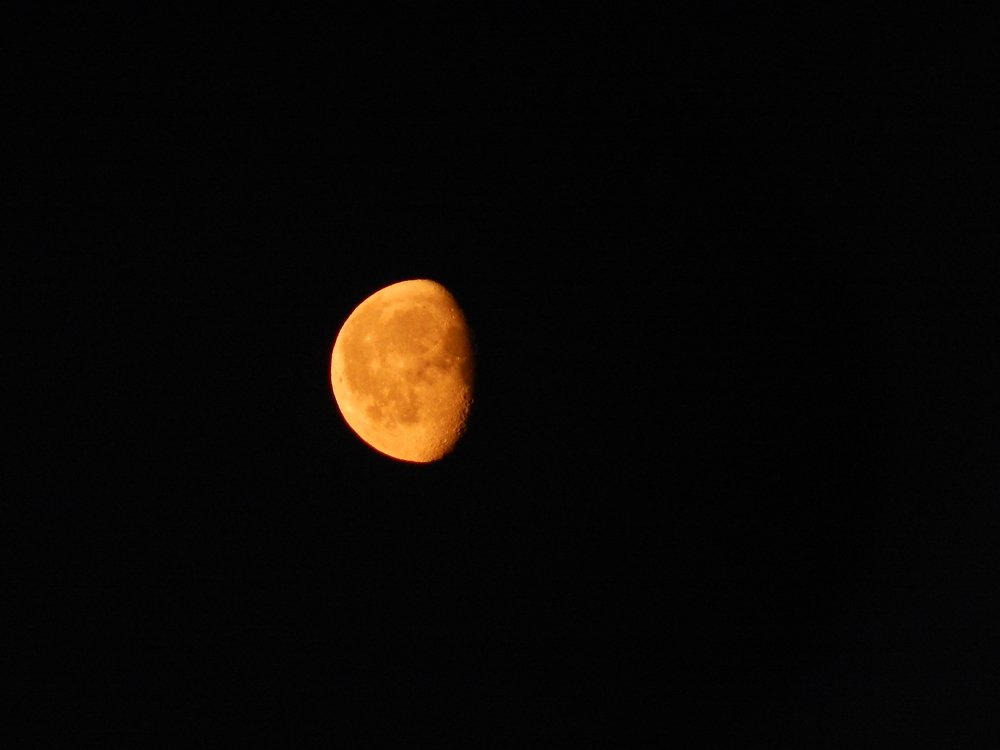 Фотография автора Юлия Кучеренко