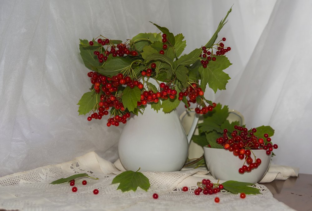 Созрела калина.