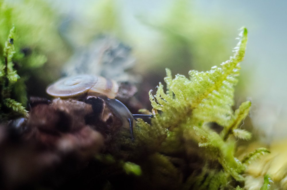 Photograph by Нина