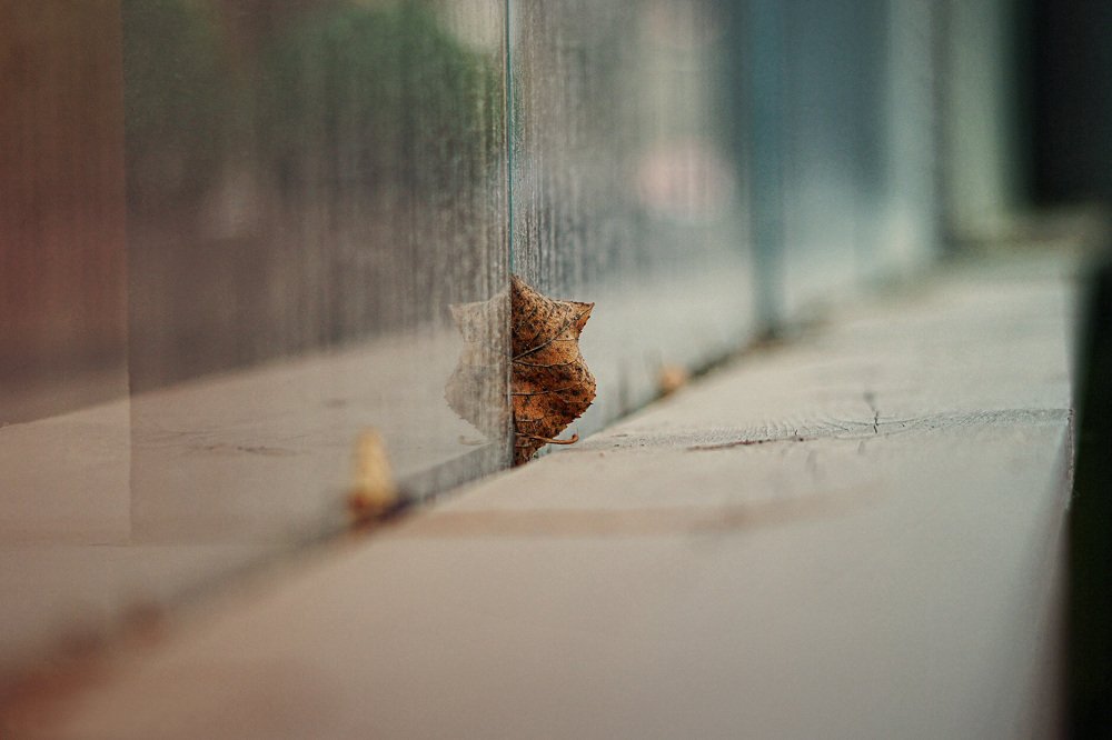 Photograph by Сергей Арямов