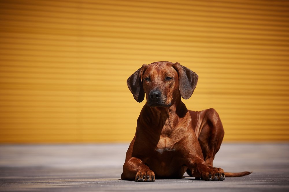 Photograph by Лана Полякова