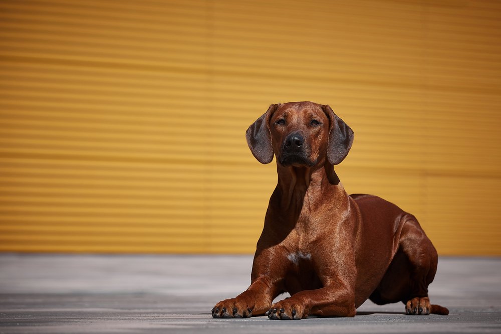 Photograph by Лана Полякова