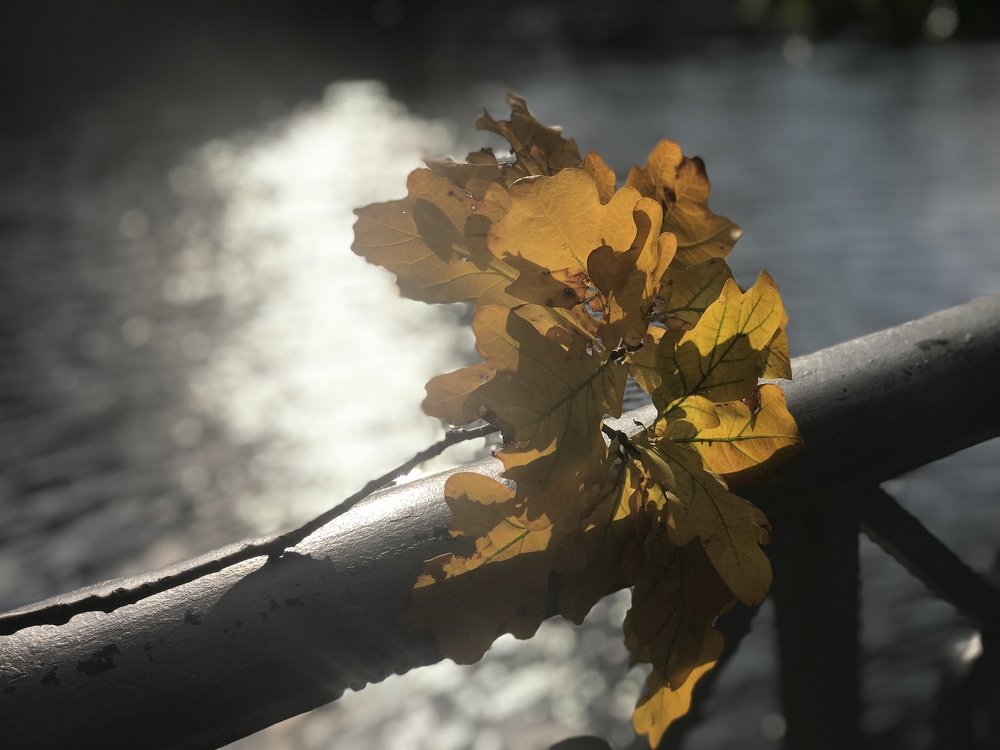 На пороге осень