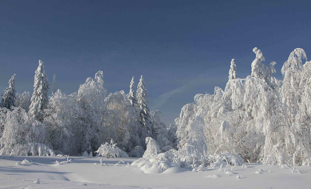 Photograph by Юрий Чернов