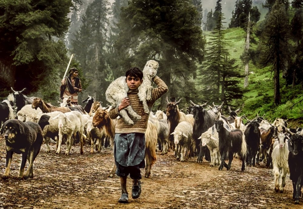 Фотография автора SANJAY BOSE