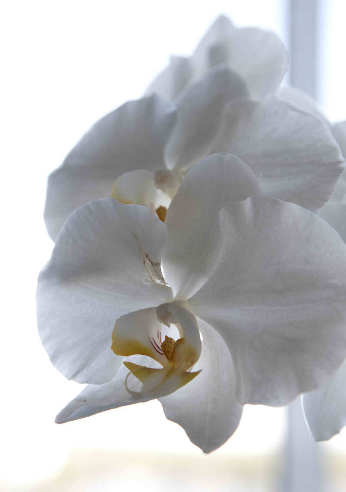 Photograph by Юрий Чернов