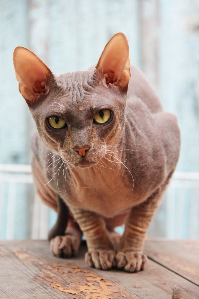 Photograph by Анастасия Ванина