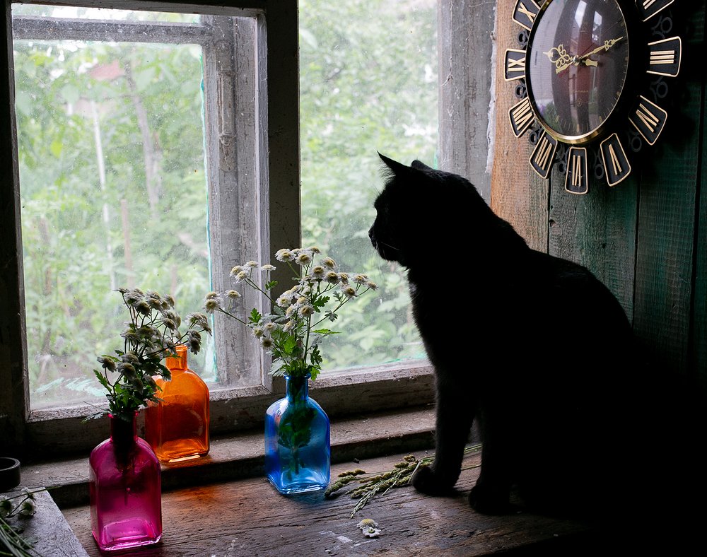 Фотография автора Ольга Матусевич