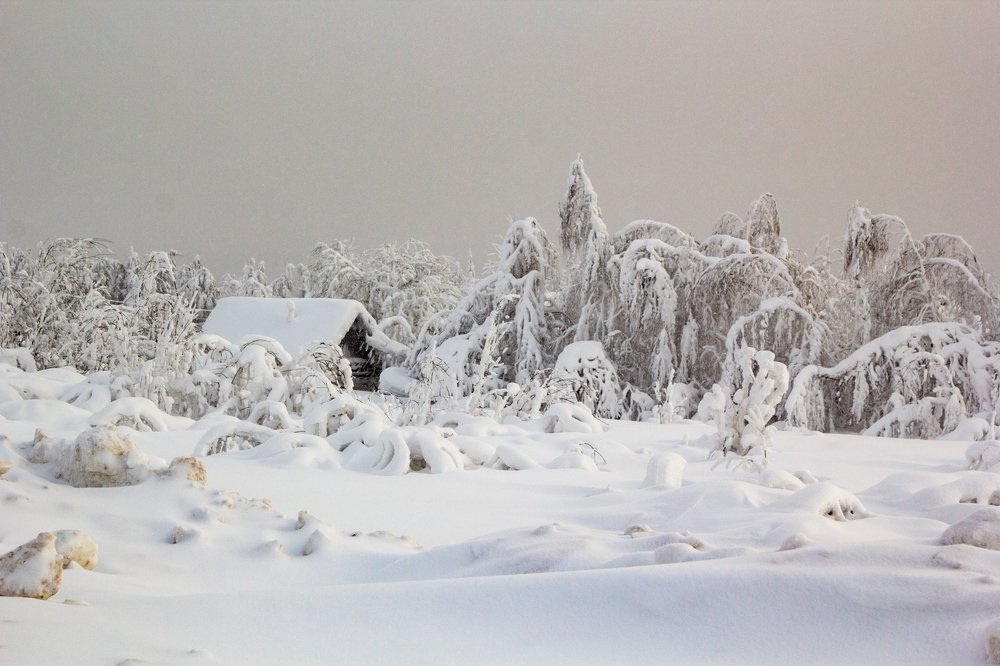 Photograph by Юрий Чернов