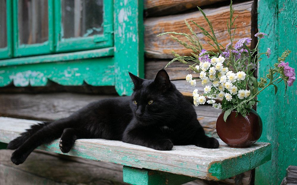 Фотография автора Ольга Матусевич
