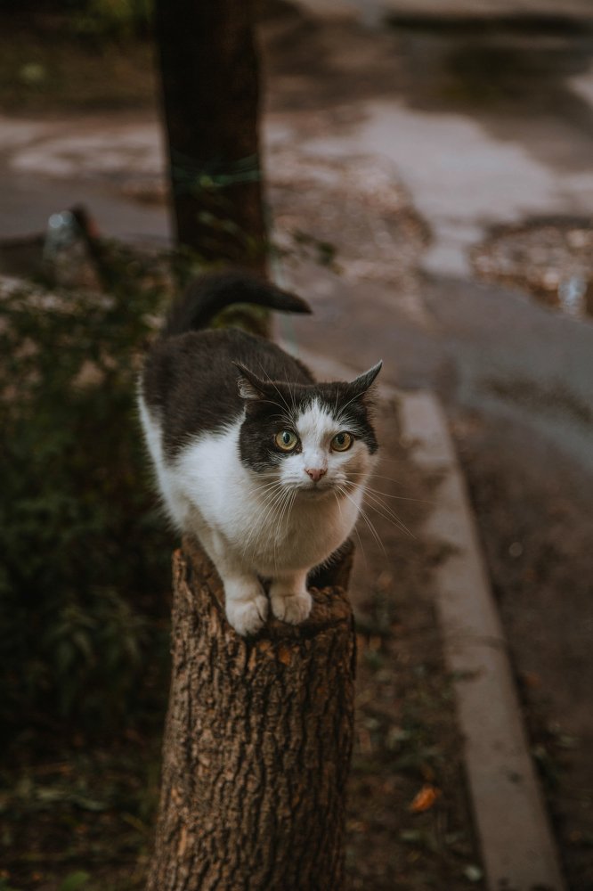 Photograph by Василий Сидоренко