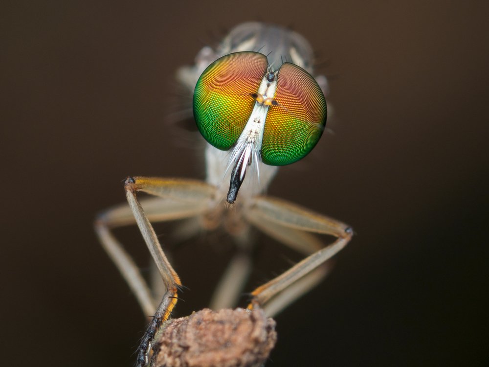 Photograph by Sapphire Ker