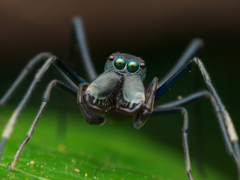 Photograph by Sapphire Ker