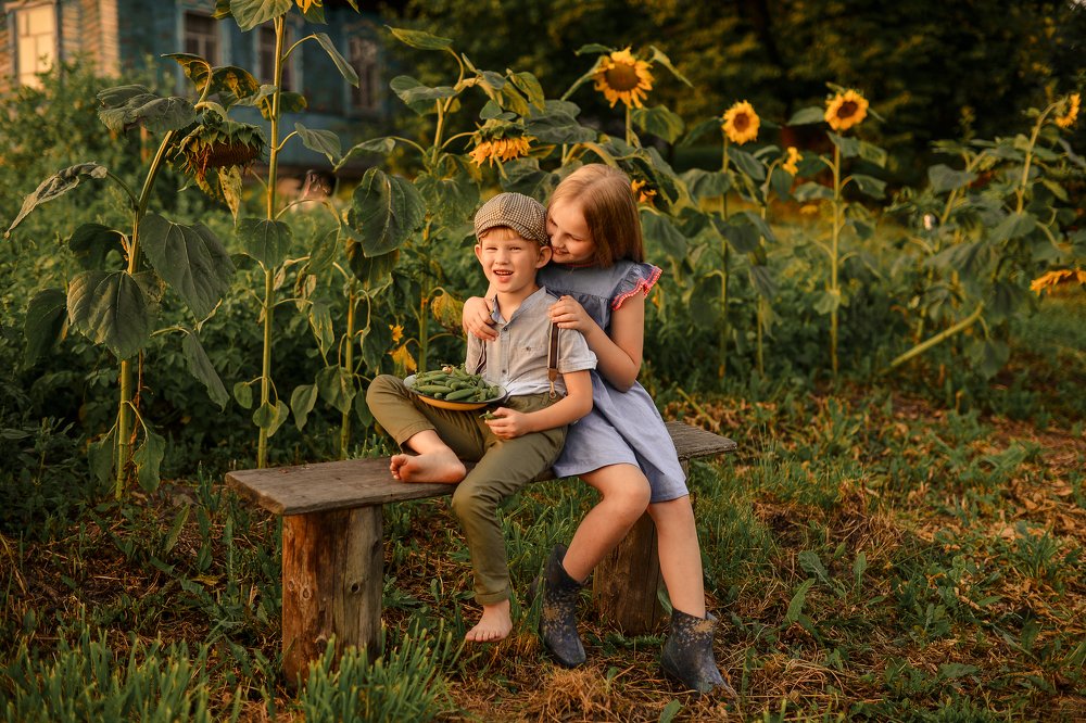 Подсолнухи