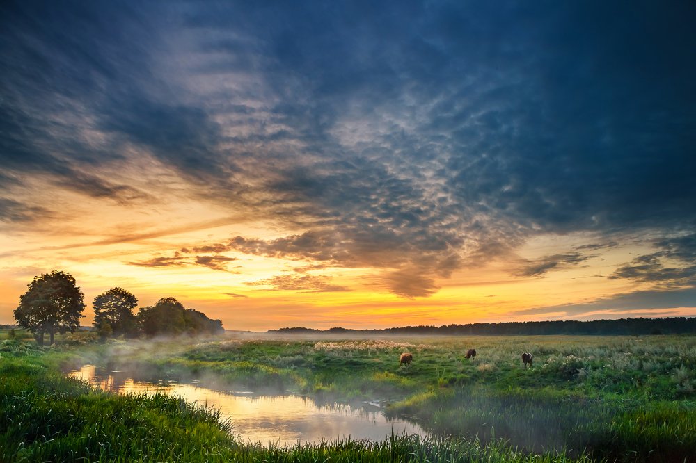 Photograph by Дмитрий