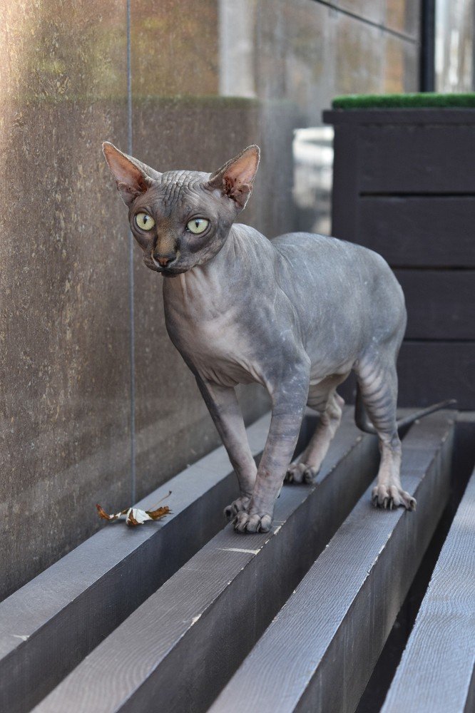 Photograph by Жанна Чередниченко