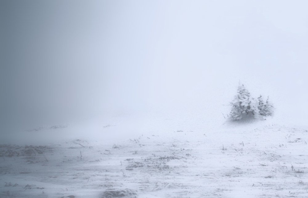 Photograph by Галина Ильясова