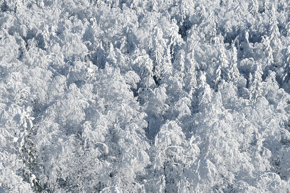 Photograph by Галина Ильясова