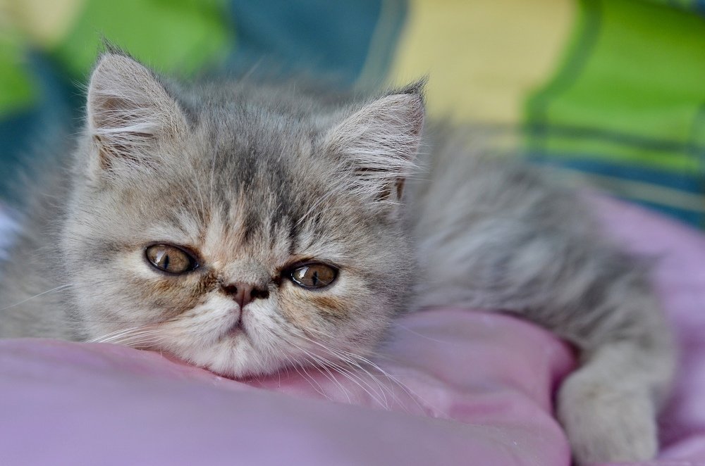 Photograph by Виктория Потапова