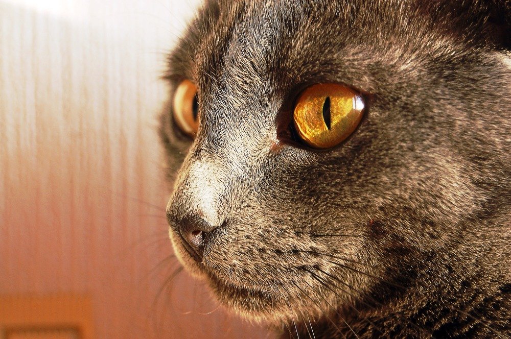 Photograph by БРОВКО АЛЕКСАНДР ИВАНОВИЧ