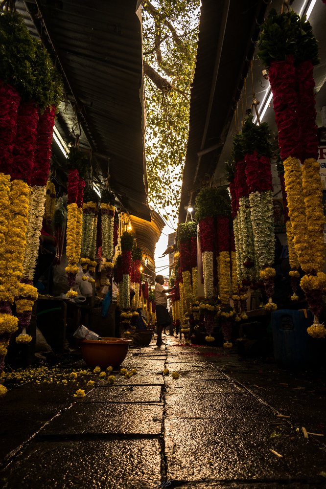 Photograph by Rohit Vishnu Prashad