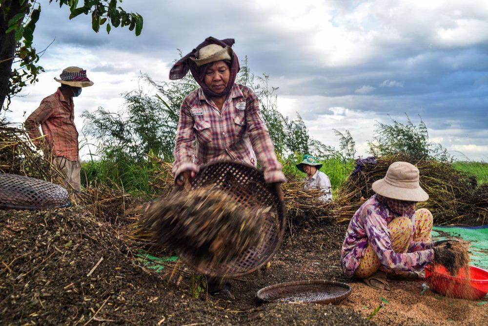 Photograph by Channal Sean