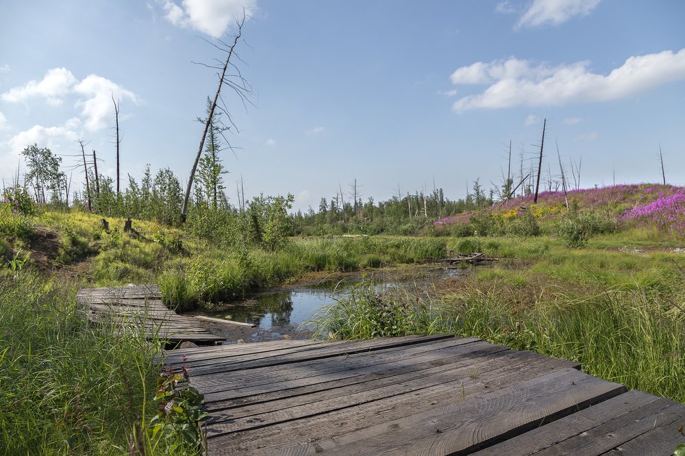 Photograph by Антон Кривошейцев