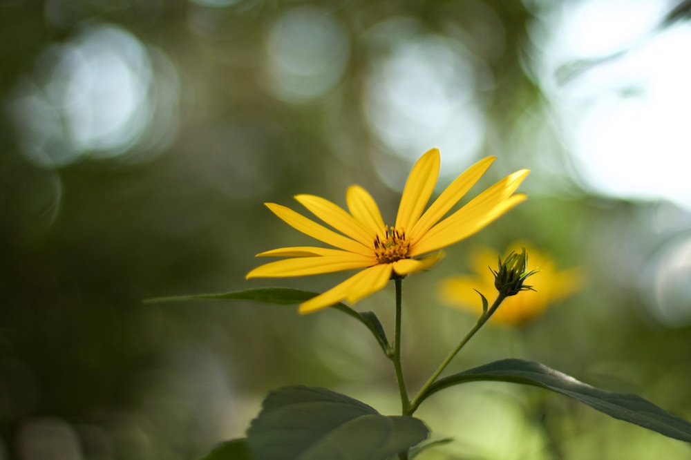Photograph by Алёна Гильмуллина