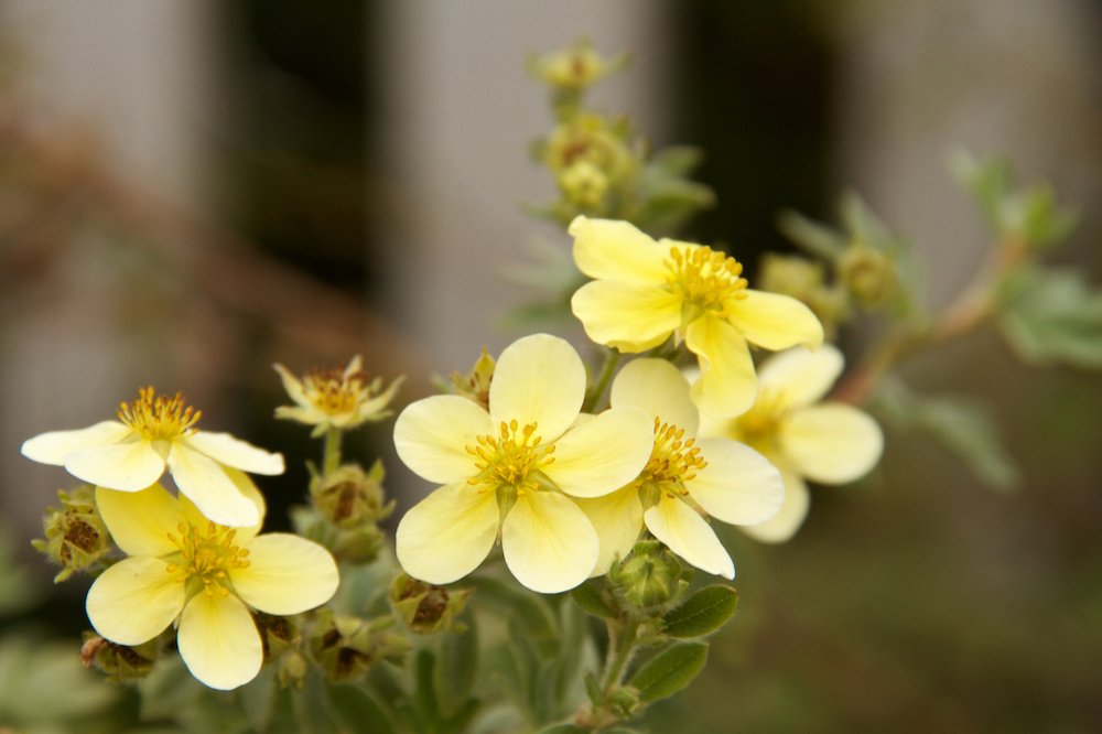 Photograph by Алёна Гильмуллина