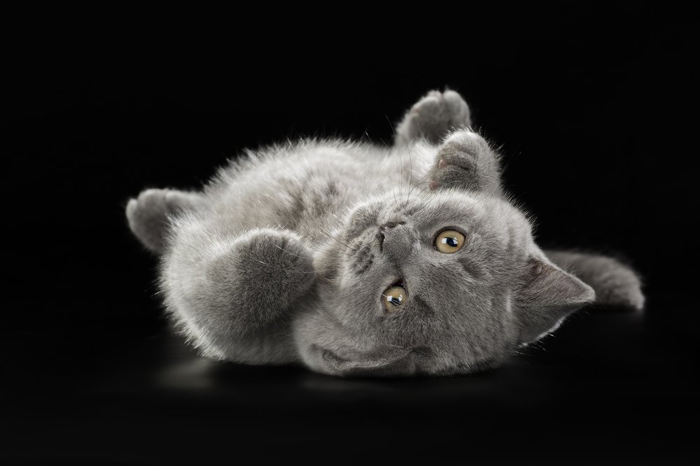 Photograph by Светлана Писарева