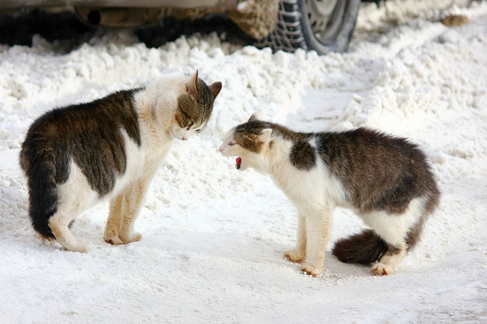 Photograph by Наталия Васильева