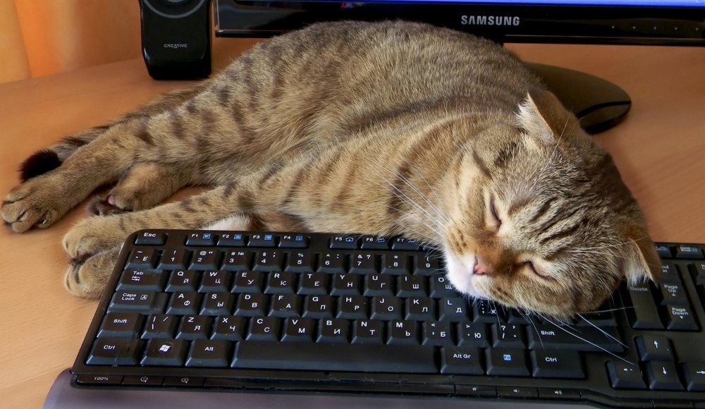 Photograph by Наталия Васильева