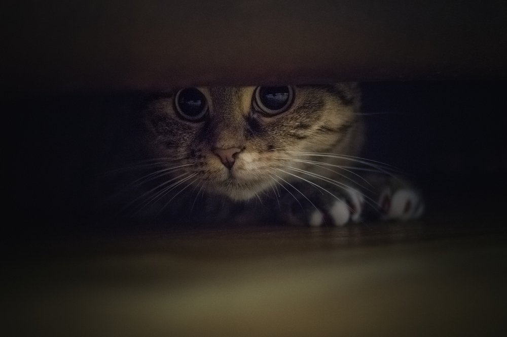 Photograph by Александр Стрельчук