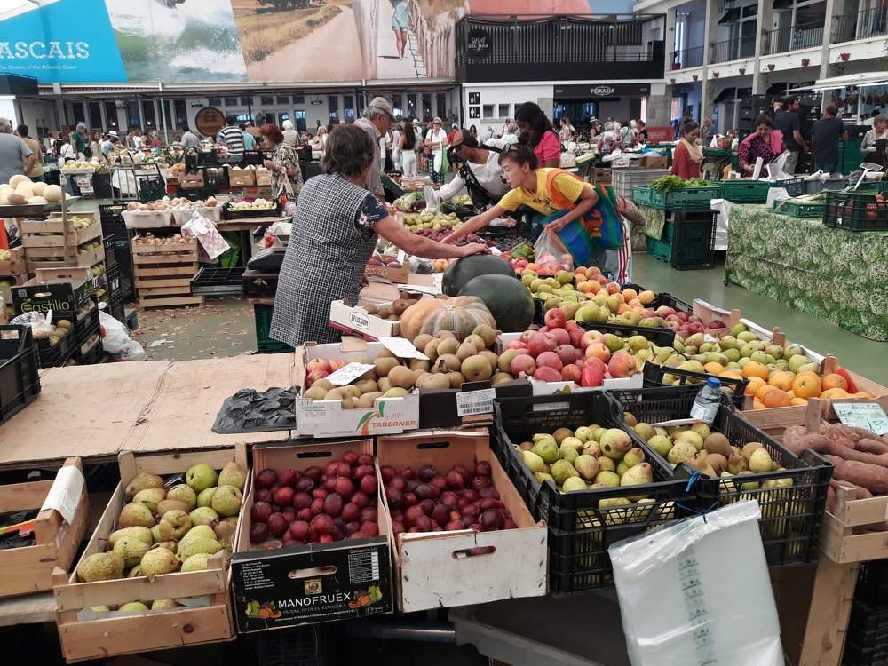 Photograph by Teresa Guerreiro