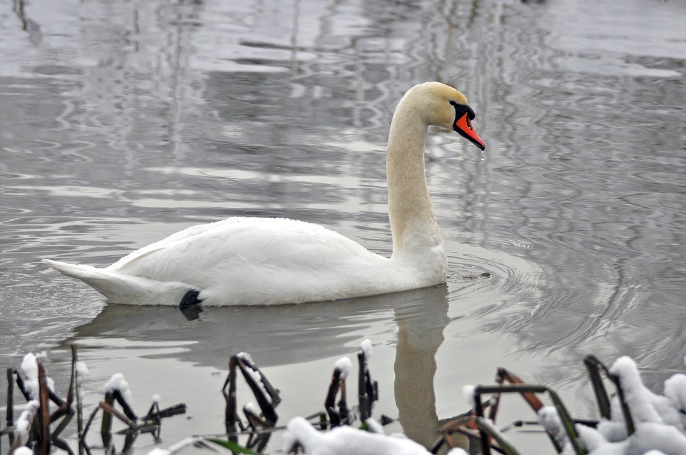 Фотография автора Антип