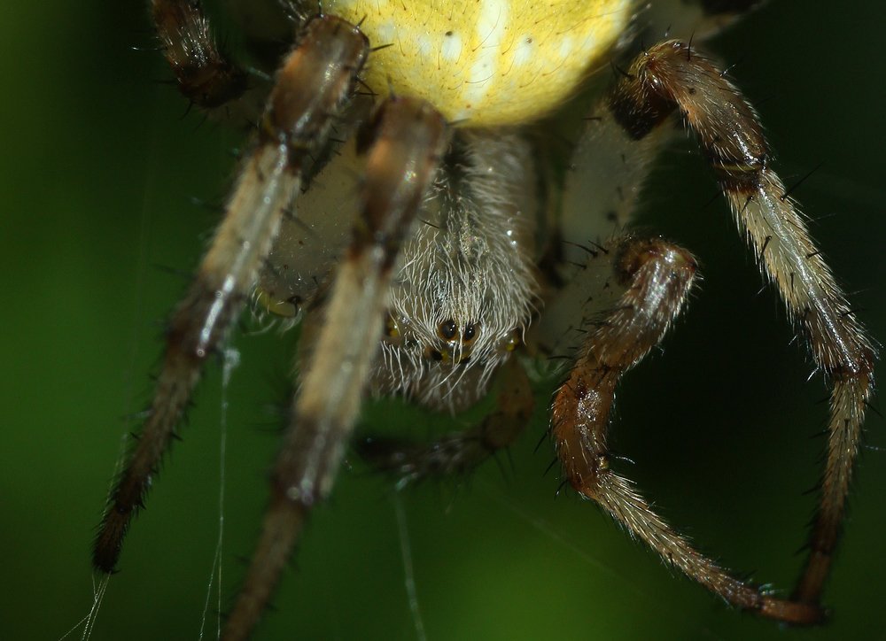 Photograph by Наталья Цветкова