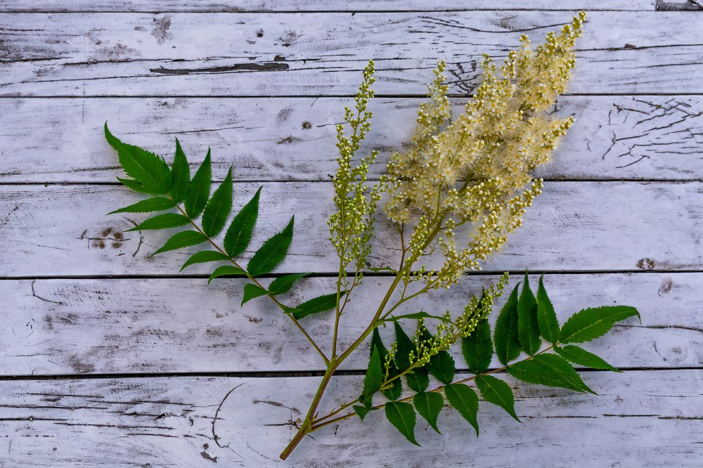 Фотография автора Ендовицкий Владимир