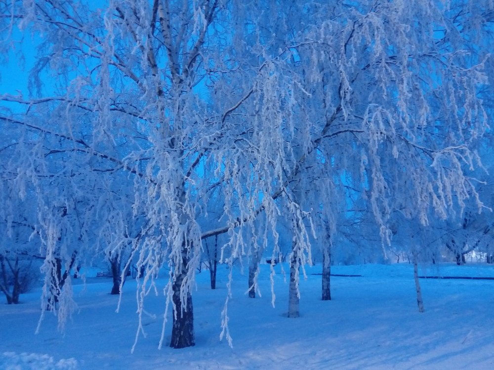 Photo #3517122