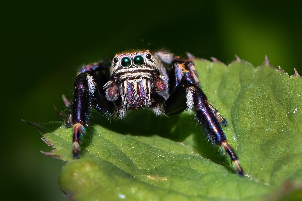 Фотография автора Наталия Сытина
