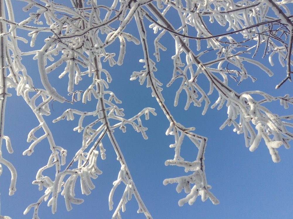 Photo #3517131