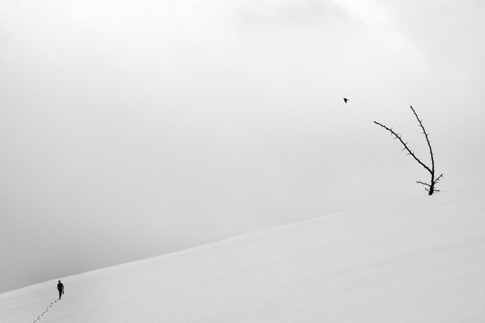 Photograph by Sherzad Rostamdost