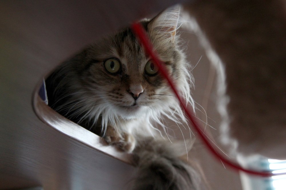 Photograph by Полина Босько