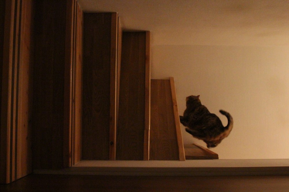 Photograph by Полина Босько