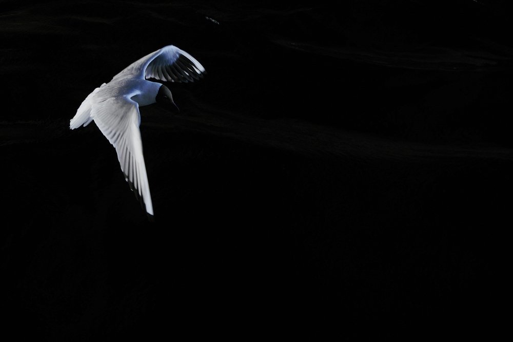 Photograph by Alexandr Bushmelev