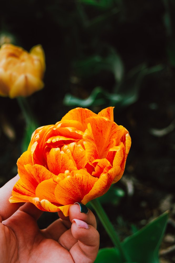 Photograph by Екатерина Бакулина