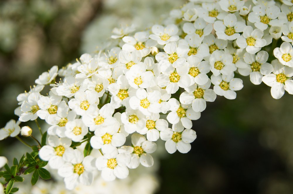 Photograph by Екатерина Бакулина