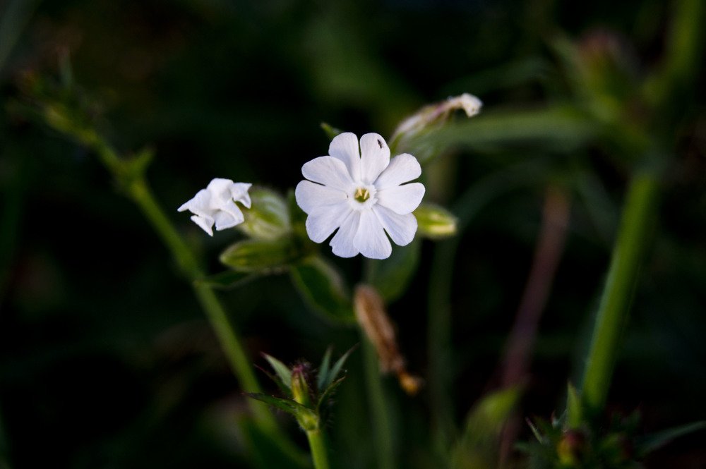 Photograph by Екатерина Бакулина