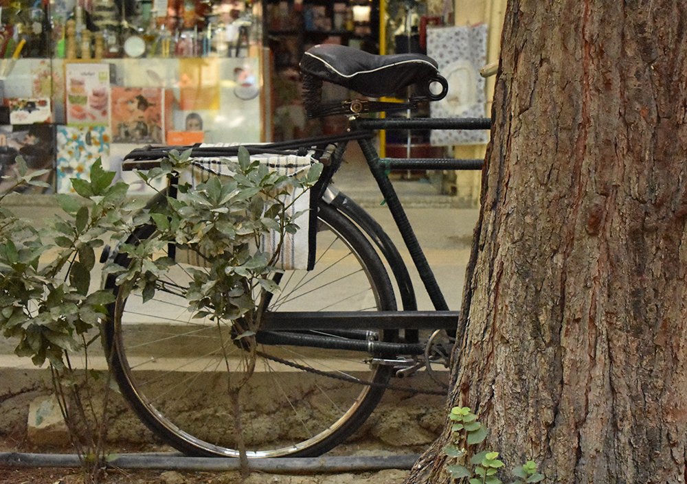 Photograph by Kosar Mousavie