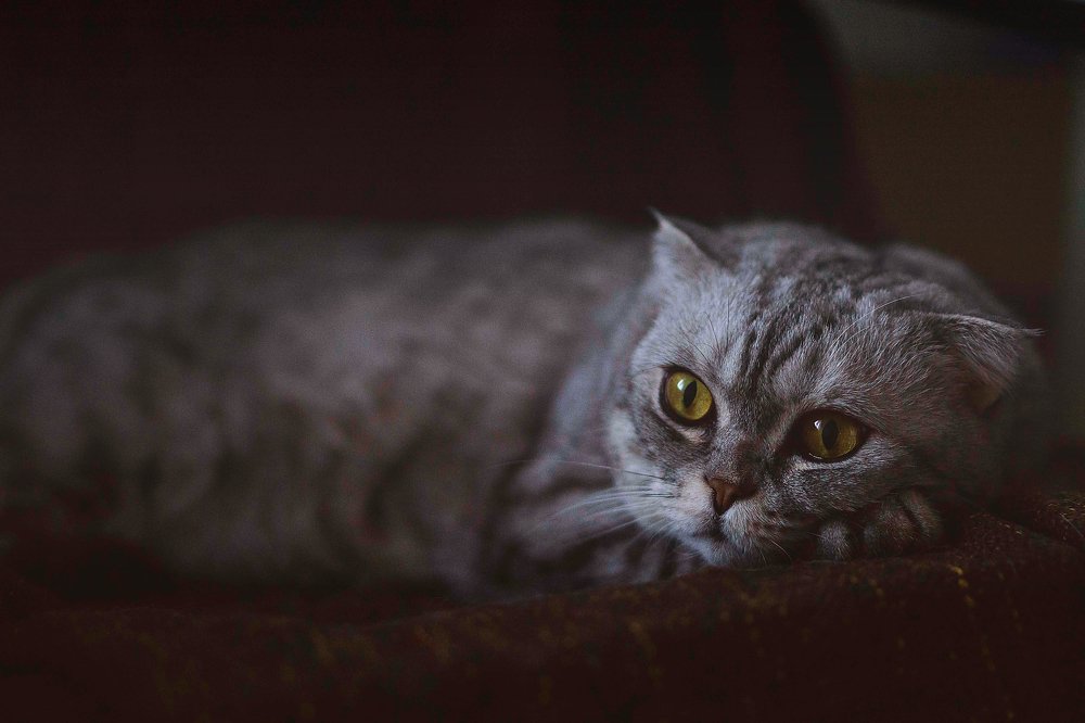 Photograph by Натали Габеева