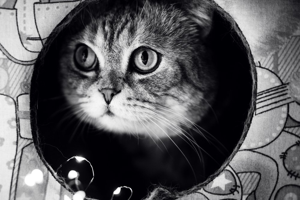 Photograph by Натали Габеева